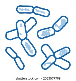 Biology Micro Bacteria sketch icon vector. Hand drawn blue doodle line art isolated symbol illustration