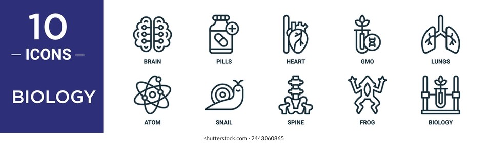 biology outline icon set includes thin line brain, pills, heart, gmo, lungs, atom, snail icons for report, presentation, diagram, web design