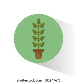 biology plant pot school