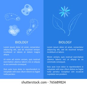 Biology poster with micro cell organisms in zoom, plant with flower and leaves vector illustrations with text in microbiology concept