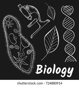 Biology School subjects.  hand drawn vector illustration, doodle icons, biological images and objects, isolated on blackboard.