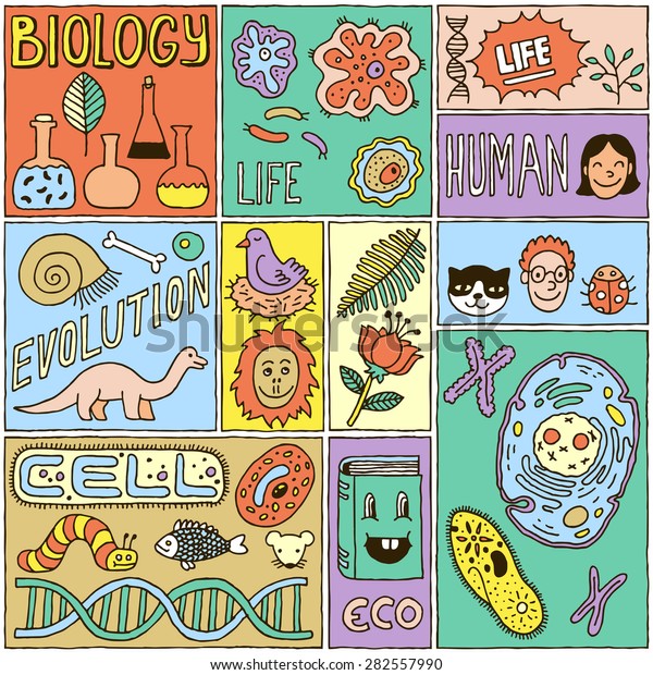 Biology Science Banners Set Color Hand Stock Vector (Royalty Free