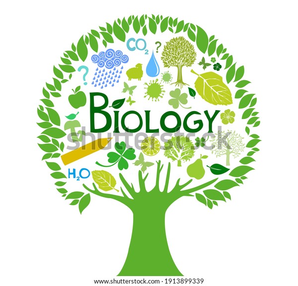 Biology Science Biology Colorful Illustration Doodle Stock Vector ...