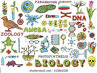 Biology Science Doodle Hand Drawn Elements. Science and School Education theme.