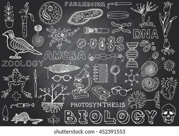 Biology Science Doodle Handwriting Elements in Gray Chalkboard Background. Science and School Education theme.
