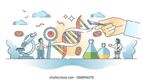 Biology science and research from gene engineering and manipulation aspect outline concept. DNA structure artificial modification experiment with sequence study and evolution vector illustration.