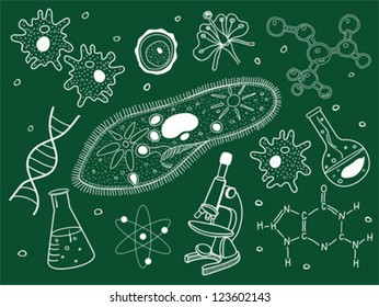 Biology sketches on school board.