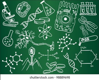 Biologie-Skizzen auf Schulboard.  Vektorgrafik.