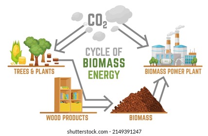 Biomass energy landscape poster with useful infographics. Horizontal print. Ecological power, zero emissions. Ecology, global warming, clean future. Editable vector illustration in a cartoon style.