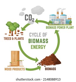 Afiche vertical de energía de biomasa con infografías útiles. Impresión vertical. Potencia ecológica, cero emisiones. Ecología, calentamiento global, futuro limpio. Ilustración vectorial editable en un estilo de caricatura.