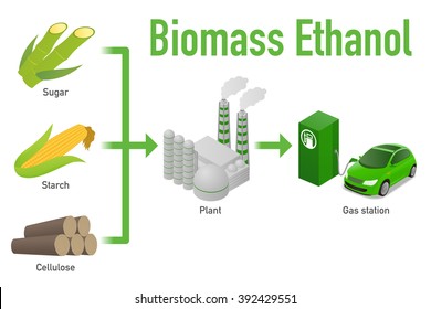 Biomass Ethanol, Made Form Sugar, Starch, Cellulose,  Diagram Illustration