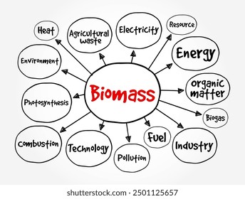 Biomass - matter from recently living organisms which is used for bioenergy production, mind map text concept background