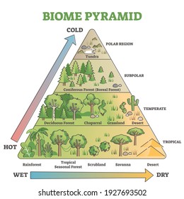 Biome pyramid as ecological weather or climate classification outline diagram. Educational labeled scheme with temperature and moisture axis that effects polar, subpolar, temperate and tropical region svg