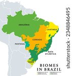 Biomes in Brazil, map of 6 ecosystems with natural vegetation. Amazonia (rainforest), Caatinga (scrub), Cerrado (savanna), Mata Atlantica (Atlantic Forest), Pampa (grassland), and Pantanal (wetland).