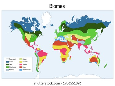 biomes. Color map of The main biomes in the world. Vector illustration svg