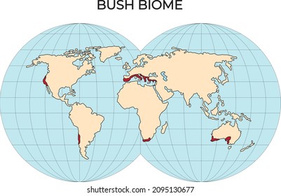 Biomes. Terrestrial ecosystem is a community of living organisms. Biotope: montane, desert, tropics, savanna, steppe, mediterranean, mixed forest, taiga, tundra and polar desert. world map svg