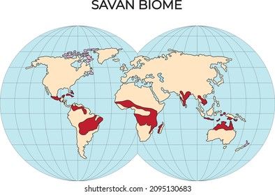 Biomes. Terrestrial ecosystem is a community of living organisms. Biotope: montane, desert, tropics, savanna, steppe, mediterranean, mixed forest, taiga, tundra and polar desert. world map svg