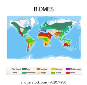 Biomes. Terrestrial ecosystem is a community of living organisms. Biotope: montane, desert, tropics, savanna, steppe, mediterranean, mixed forest, taiga, tundra and polar desert. Vector map svg