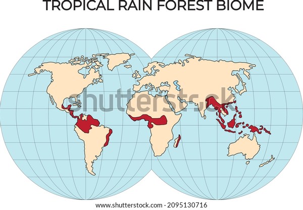Biomes.\
Terrestrial ecosystem is a community of living organisms. Biotope:\
montane, desert, tropics, savanna, steppe, mediterranean, mixed\
forest, taiga, tundra and polar desert. world\
map