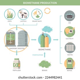 Biomethane production infographics demonstrating agricultural crops and livestock as sources of biofuel heat and electricity flat vector illustration