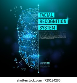 Biometric identification or Facial recognition system concept. Vector illustration of human face consisting of polygons, points and lines with place for your text isolated on dark blue background