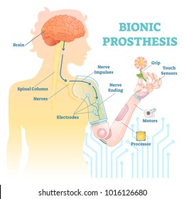 Bionic prosthesis - robotic female hand vector illustration. 