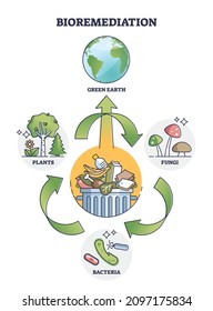 Bioremediation process as bacteria usage for green earth outline diagram. Labeled educational stages with soil and water recovery after contamination vector illustration. Pollution reduction scheme.