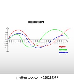 Biorhythm