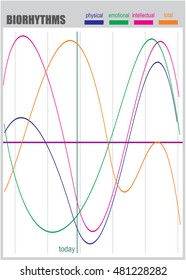 biorhythms vector. flow chart. Infographics element. concept of emotional, biorhythm, physical, intellectual and intuition.