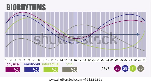 Biorhythms Vector Flow Chart Infographics Element Stock ...