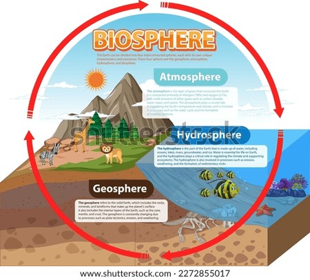 Biosphere Ecology Infographic for Learning illustration