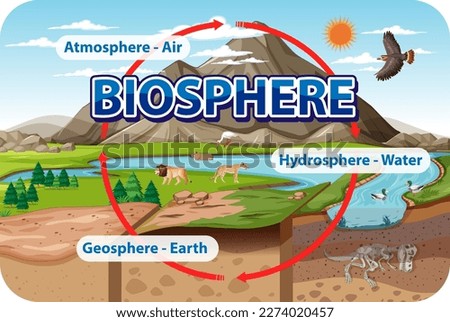 Biosphere Ecology Infographic for Learning illustration