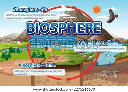 Biosphere Ecology Infographic for Learning illustration