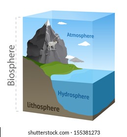 Biosphere Illustration In Vector