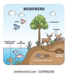 Biosphere and natural habitat division for living creatures outline diagram. Labeled educational environmental earth biodiversity with birds, animals, vegetation or marine wildlife vector illustration