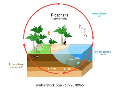 Biosphere is a zone of life on Earth. natural ecosystems with wildlife. Ecosphere (environment), Hydrosphere (water), Atmosphere (air), and Lithosphere (crust and the portion of the upper mantle)