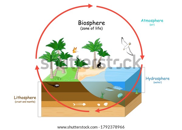 Biosphere is a zone of life on Earth. natural\
ecosystems with wildlife. Ecosphere (environment), Hydrosphere\
(water), Atmosphere (air), and Lithosphere (crust and the portion\
of the upper mantle)