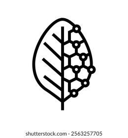 biotech leaf agri tech line icon vector. biotech leaf agri tech sign. isolated contour symbol black illustration