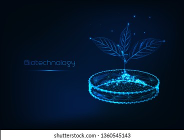 Biotechnology concept futuristic scientific background with glowing low polygonal sprout with soil in petri dish on dark blue background. Modern wireframe design vector illustration. 