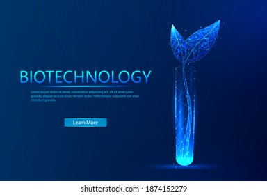 Biotechnology concept. Biotechnology of plant germination. Abstract illustration isolated on a dark background. Biotechnological concept with a glowing low polygonal sprout in a test tube.
