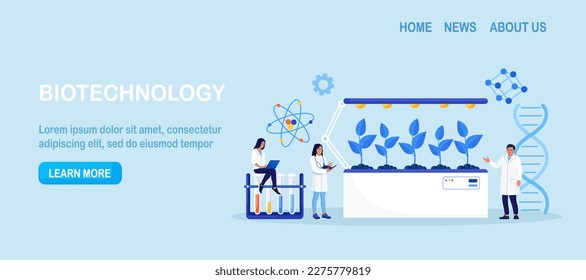 Biotechnology. Engineers growing green sprouts, plants in soil with cultivation equipment in science laboratory. Science experiment, molecular analysis, biological research for medical herb purpose