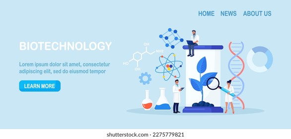 Biotechnology. Engineers growing green sprouts, plants in soil with cultivation equipment in science laboratory. Science experiment, molecular analysis, biological research for medical herb purpose