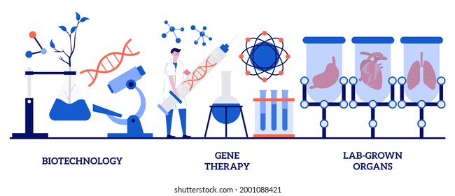 Biotechnology, Gene Therapy, Lab-grown Organs Concept With Tiny People. Bioengineering Industry Abstract Vector Illustration Set. Stem Cells, Laboratory Research, Genetic Cancer Treatment Metaphor.