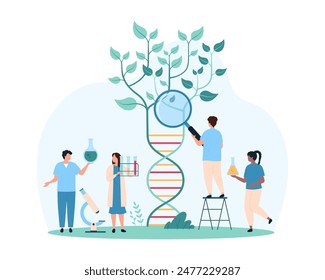 Biotechnology, genetic research for agriculture and agronomy. Tiny people with magnifying glass study genome of plant growing from DNA helix, genes of green sprout cartoon vector illustration