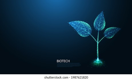 Biotechnology line connection. Green growing plant sprout Low poly wireframe design. Abstract geometric background. vector illustration.