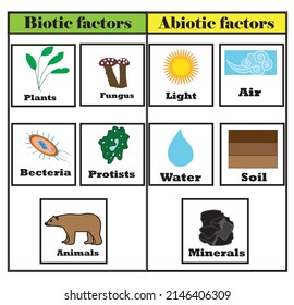 what is biotic components