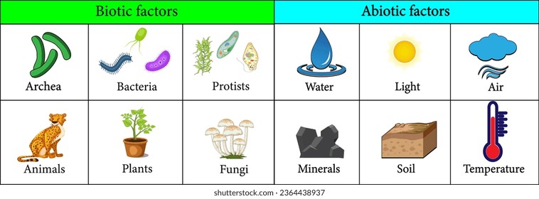 Biotic and Abiotic Factors in the Environment.Vector illustration