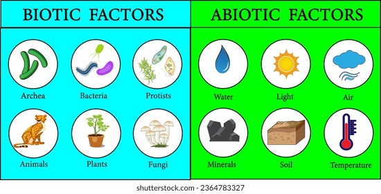 Biotic and Abiotic Factors in the Environment.Vector illustration