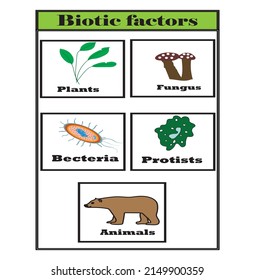 Biotic factors diagram.Nature ecosystem.Study and educational content for biology students.vector illustration.