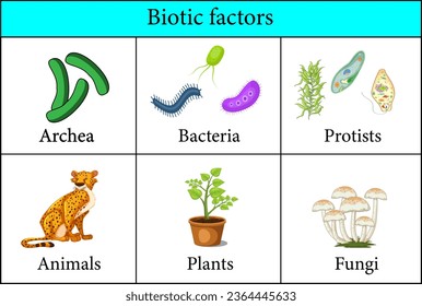 Biotic Factors in the Environment.Vector illustration